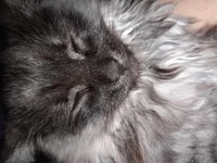 20201108_092104.webp