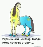 изображение_viber_2020-11-13_14-58-52.jpg