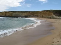  228.webp