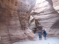 IMG_6014.jpg