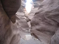 IMG_6017.jpg
