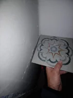 20201106_074424.webp