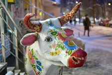 SDIM0198 1.webp