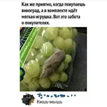 _viber_2020-12-03_21-12-49.webp