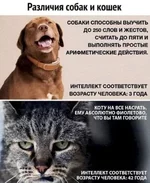 IMG-382d5a2ab89894bba8be99ea4129f64d-V.webp