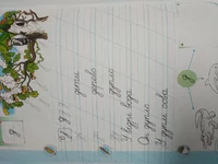 IMG_20201204_123237.webp