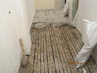 IMG_5304.webp
