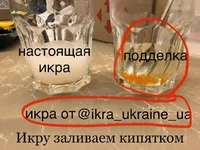 IMG_2367.webp