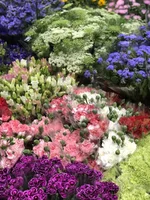 04E29C41-15EA-4EB1-95B7-5C5C3FB202E3.webp