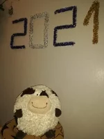 IMG_20201213_174632.jpg