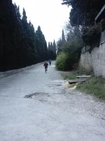 IMAG0021.webp