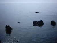 IMAG0023.webp