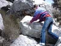 IMAG0020.webp