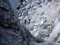 IMAG0028.webp