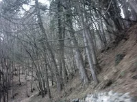 IMAG0001.webp