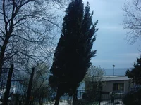 IMAG0031.webp