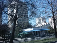 IMAG0047.webp