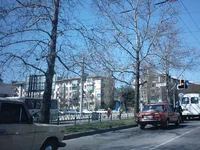 IMAG0049.webp
