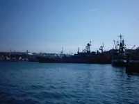 IMAG0062.webp