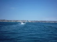 IMAG0066.webp