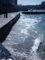 IMAG0084.webp