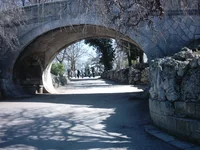 IMAG0089.webp