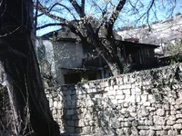IMAG0099.webp