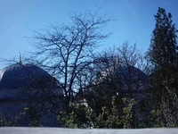 IMAG0103.webp