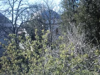 IMAG0104.webp