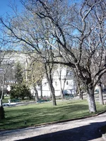 IMAG0111.webp