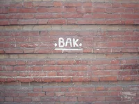 P4170028.webp