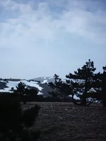 44.webp