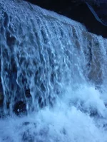 68.webp