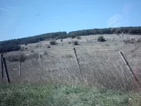 121.webp