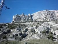 209.webp