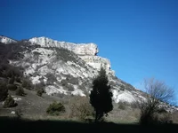 214.webp