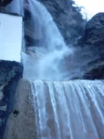 314.webp