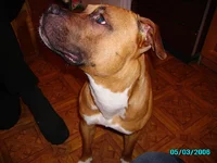  005.webp
