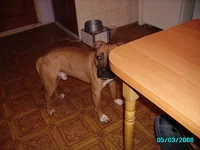  002.webp