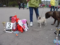  084.webp