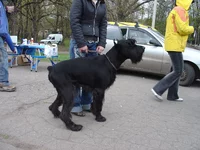  080.webp