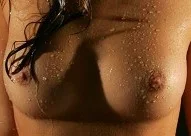 S_02.webp