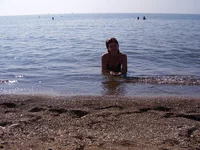  196.webp