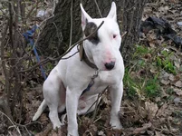  спасатель москва.webp