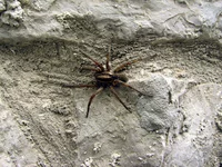 img_3142.webp