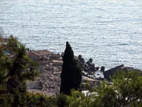 img_3152.webp
