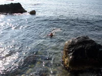 img_3180.webp