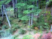 img_3201.webp