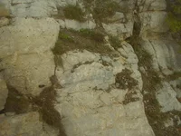 PA210050.webp