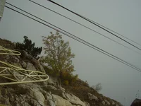 PA210051.webp